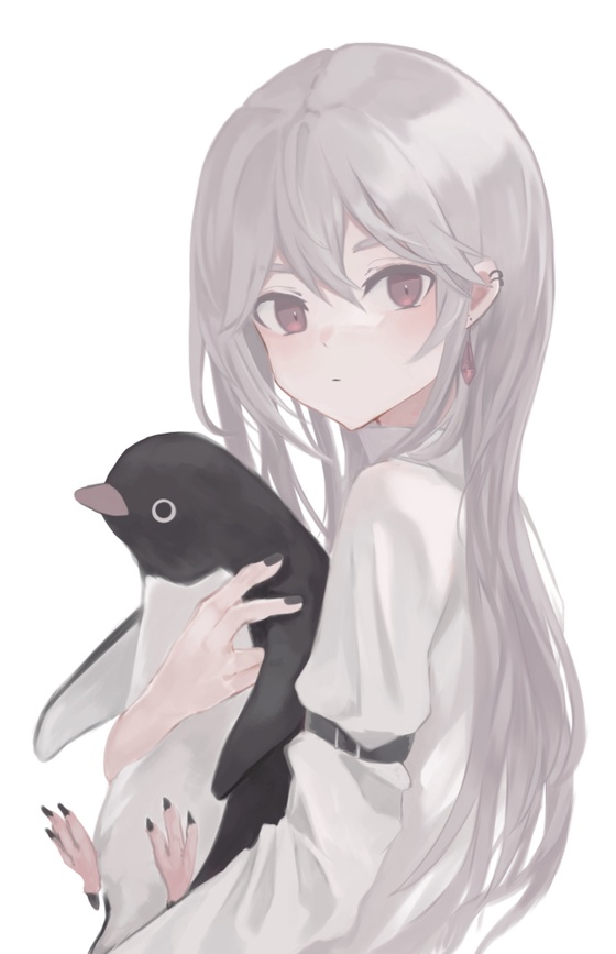  Penguin