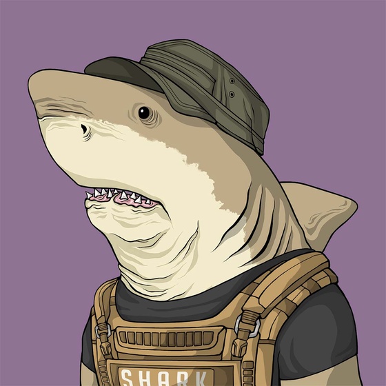 Justice Shark #4136