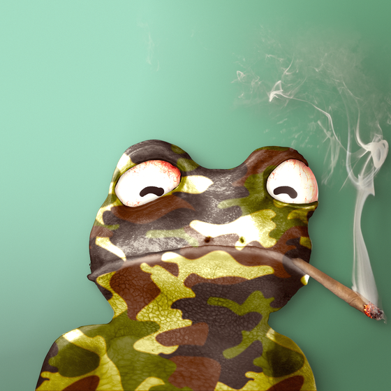 Notorious Frog #4311