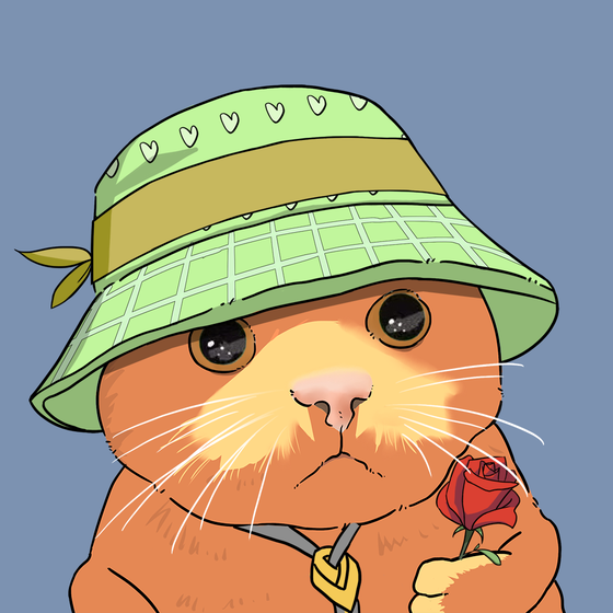 Puzzled cat #9485