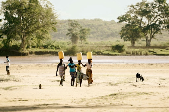 Water Walk#5 Harmony