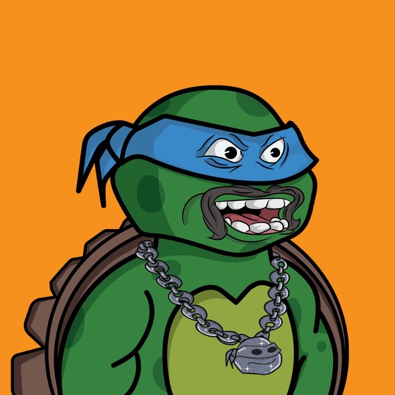 Degen Ninja Turtle #1437