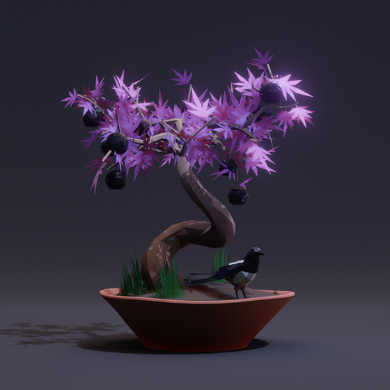 Bonsai #5964