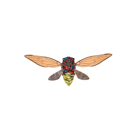 Cicadas #8346