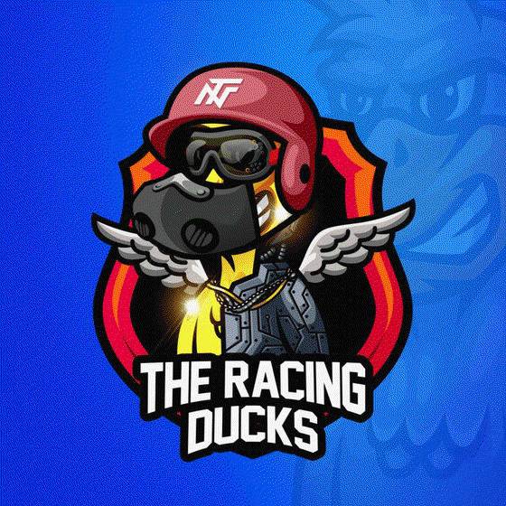 The Racing Ducks