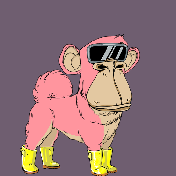 Kennel Ape #9964