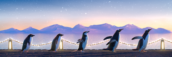 Five Penguins #2564