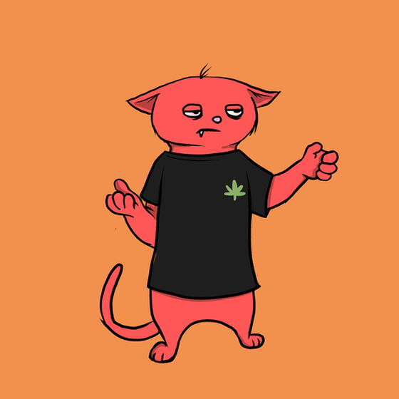 Blazed Cat #6533