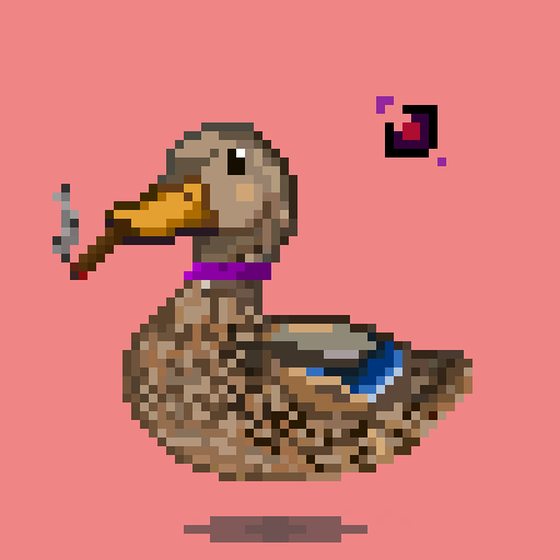 Mallard #1157