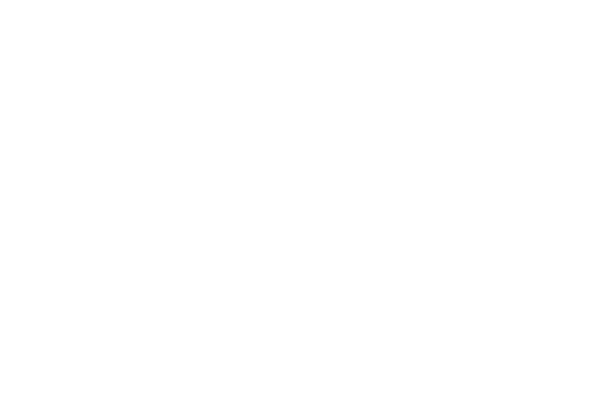 DEVT Allocation Voucher #49 - 400.00 - Linear