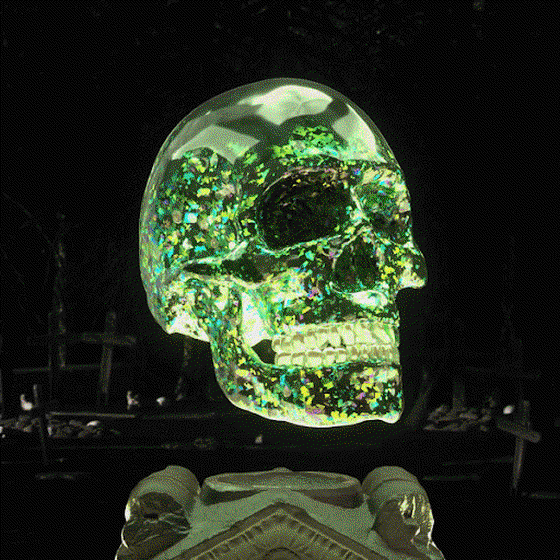 #023 - Holoskull