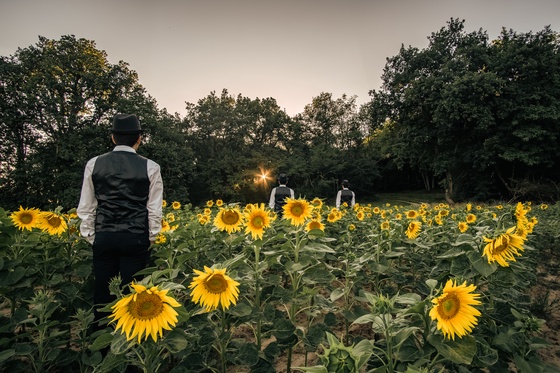 Into The Field (« In Sunflowers ...»)