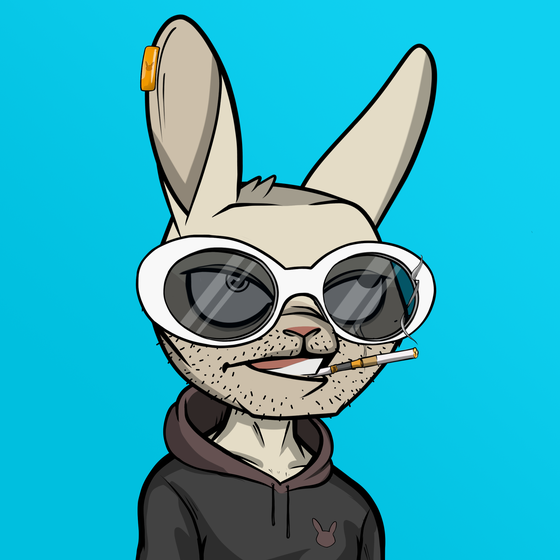 Mad Rabbit #3424