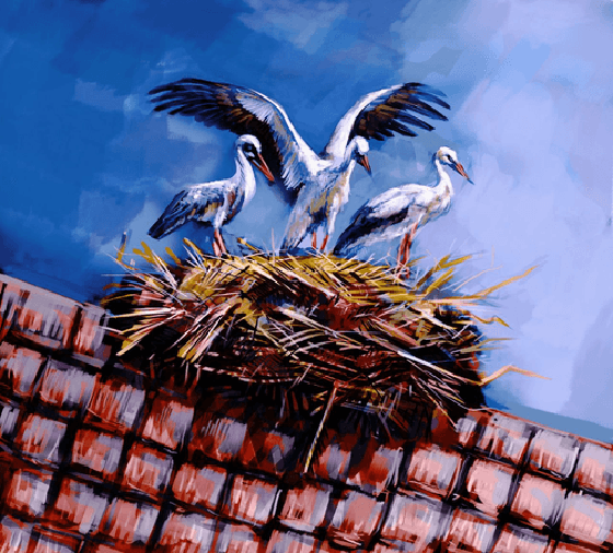 Storks