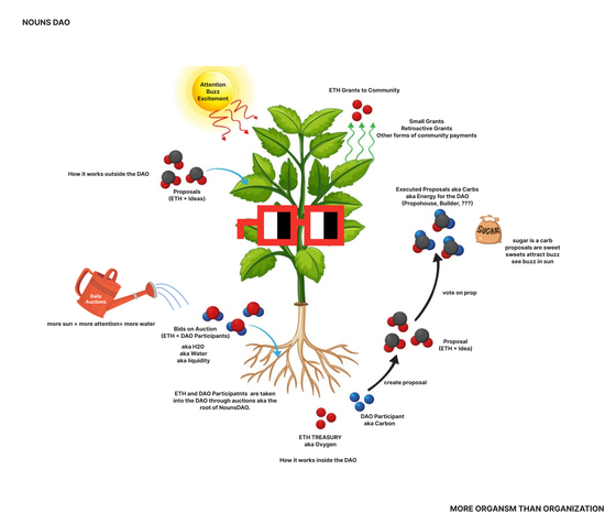 Nouns as Plants. 275