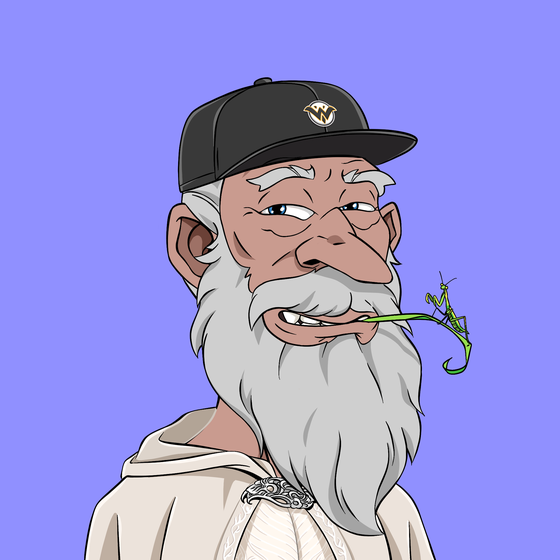 Wizard #3575