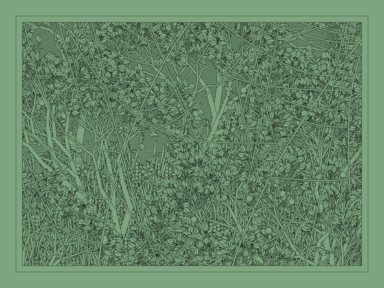 Entangled #35