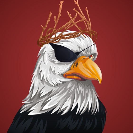 #216 Bald Eagle