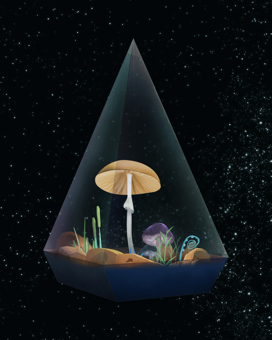 Mushroom #2715