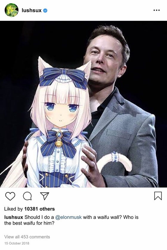 Lushsux #3266 - Shit Post Elon Musk