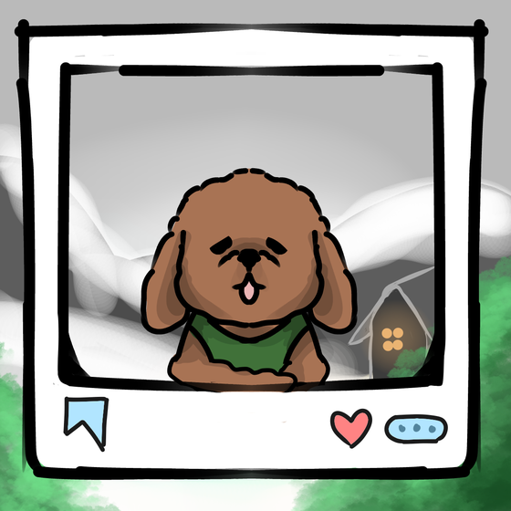旅する犬 #269