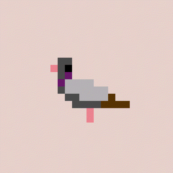 Crypto Pigeon #90