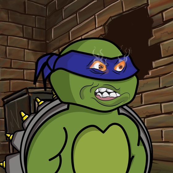 Degen Ninja Turtle #5103