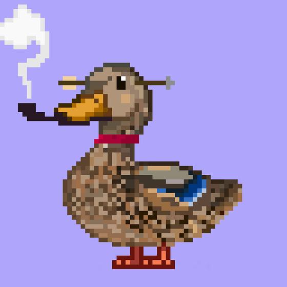 Mallard #1029