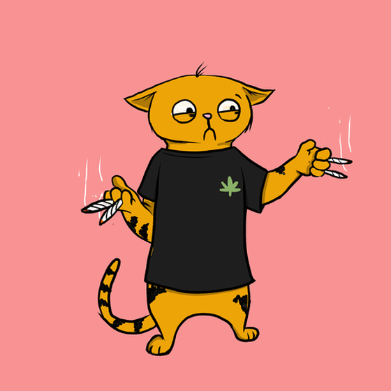 Blazed Cat #6241