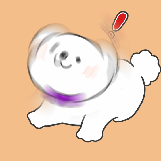 DogDrill#405