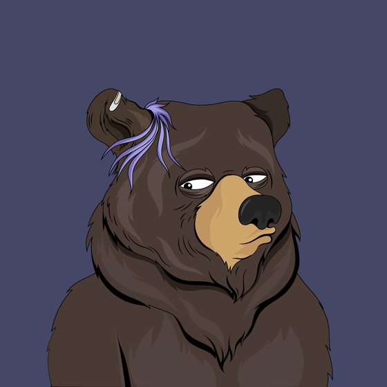 Fancy Bear #6504