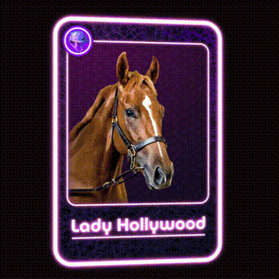 Lady Hollywood Jockey Club #84