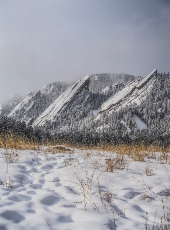 Snow Covered Flatirons