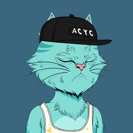 Angry Cat YC #607