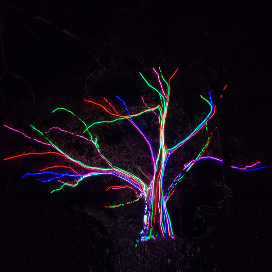 Neon Tree