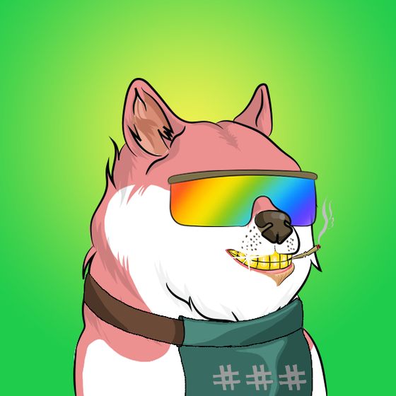 THE BILLIONAIRE DOGE CLUB #555