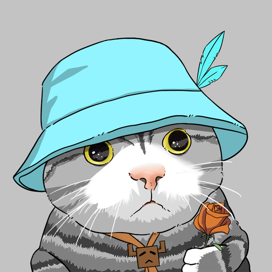 Puzzled cat #9830