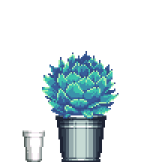 Artichoke Agave in Steel Bucket pot with Styrofoam Cup