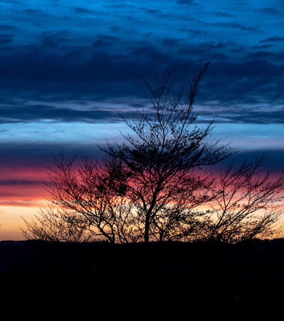 Sunsets and Silhouettes 