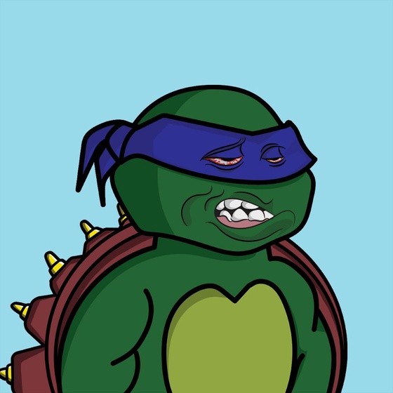 Degen Ninja Turtle #2366