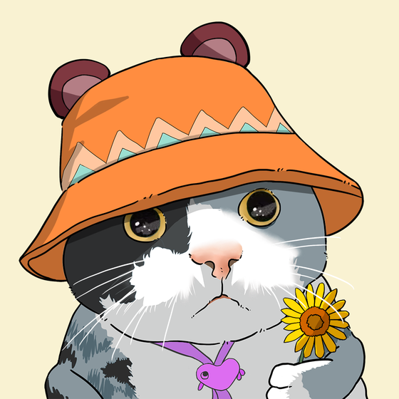 Puzzled cat #7306