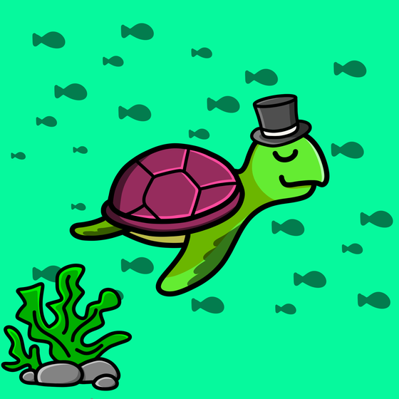 Toddler Turtle #562