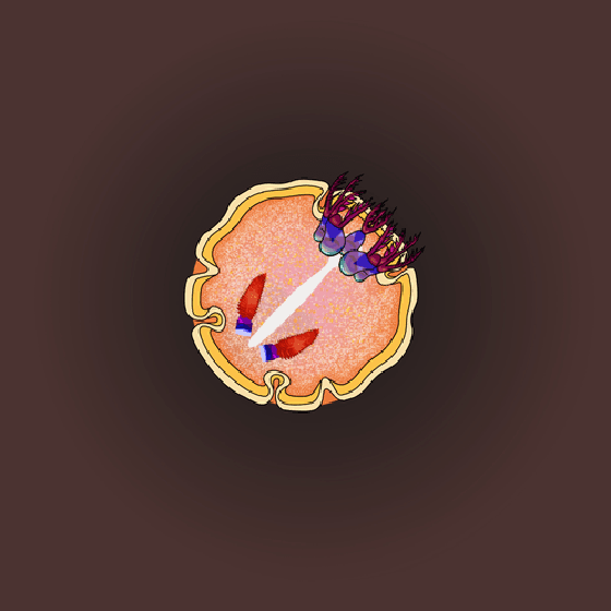 Babies of NudiBrand #5