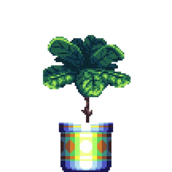 Fiddle-Leaf Fig in Large Premium Pattern pot