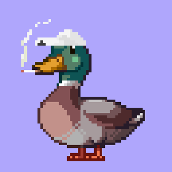 Mallard #9291