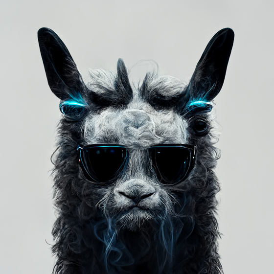 DLlama #69