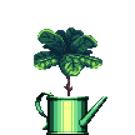 Fiddle-Leaf Fig in Watering Can pot