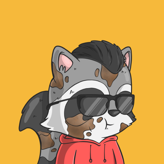 LookAtMyRaccoon #6236