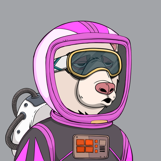 Okay Space Bear #5453