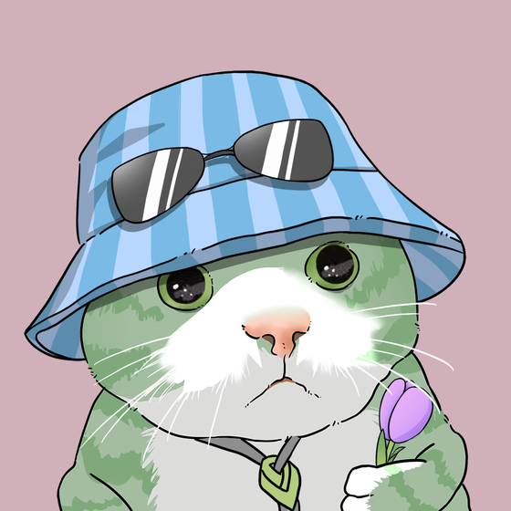 Puzzled cat #5881